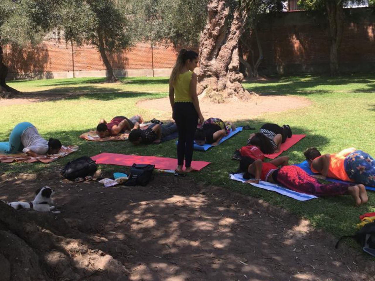 Yoga y meditación